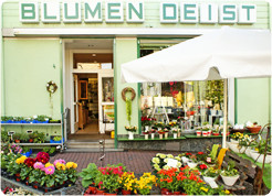 Blumenhaus am Neustadtmarkt